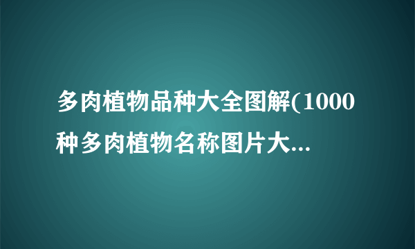 多肉植物品种大全图解(1000种多肉植物名称图片大全)-飞外