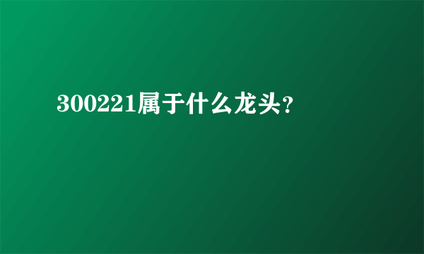 300221属于什么龙头？