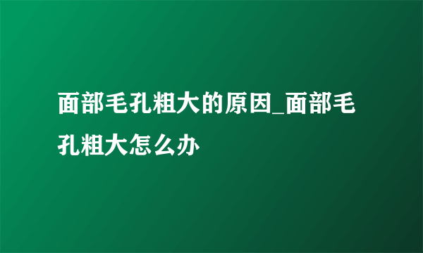 面部毛孔粗大的原因_面部毛孔粗大怎么办