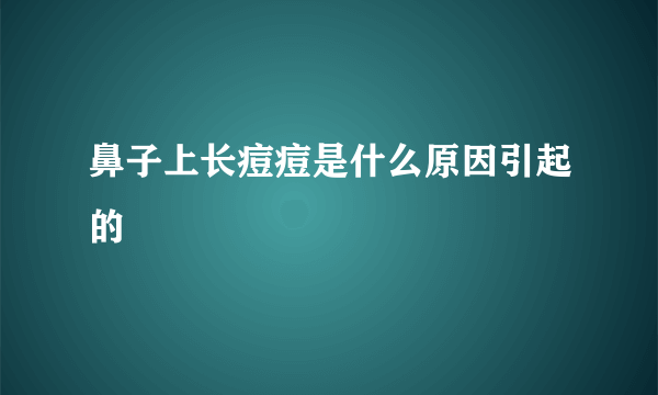 鼻子上长痘痘是什么原因引起的