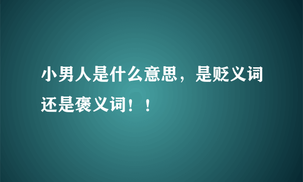 小男人是什么意思，是贬义词还是褒义词！！