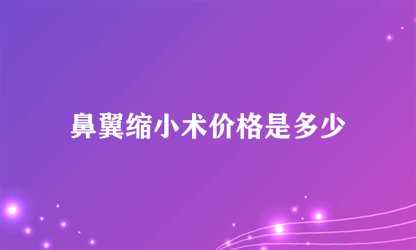 鼻翼缩小术价格是多少