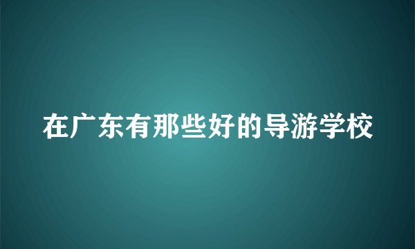 在广东有那些好的导游学校