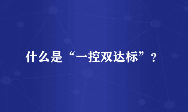 什么是“一控双达标”？