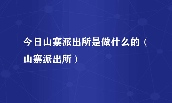 今日山寨派出所是做什么的（山寨派出所）