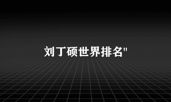 刘丁硕世界排名