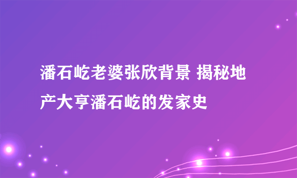 潘石屹老婆张欣背景 揭秘地产大亨潘石屹的发家史