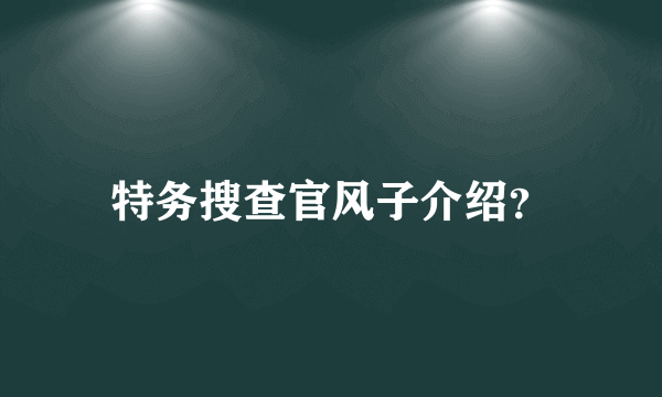 特务搜查官风子介绍？