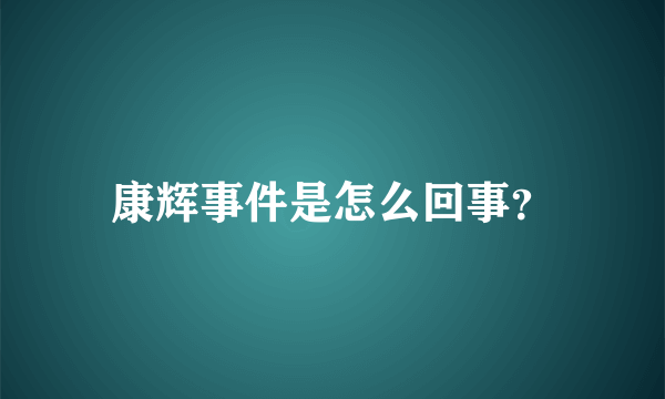 康辉事件是怎么回事？