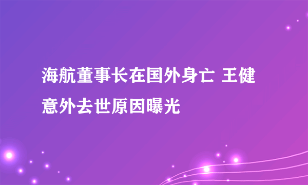 海航董事长在国外身亡 王健意外去世原因曝光