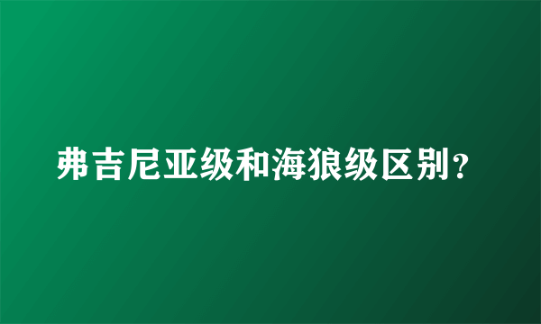 弗吉尼亚级和海狼级区别？