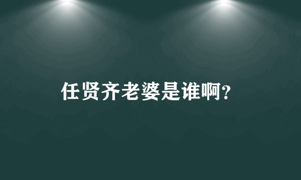 任贤齐老婆是谁啊？