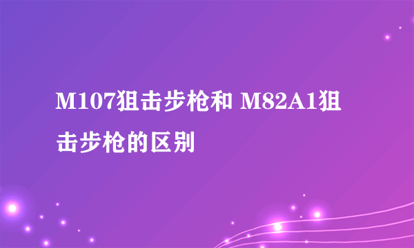 M107狙击步枪和 M82A1狙击步枪的区别