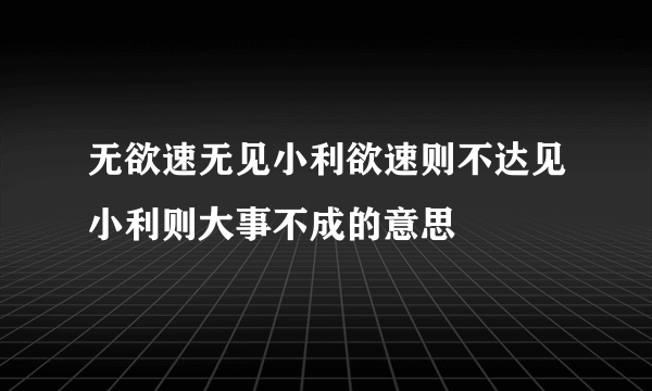 无欲速无见小利欲速则不达见小利则大事不成的意思