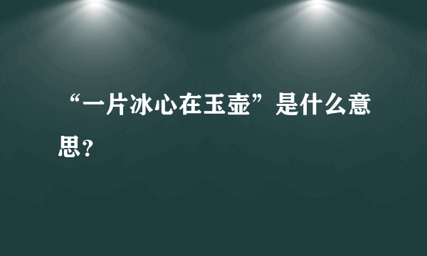 “一片冰心在玉壶”是什么意思？