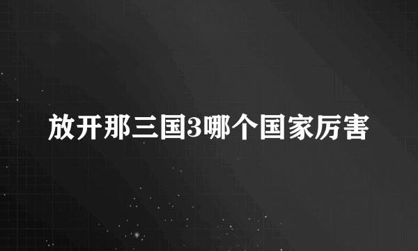 放开那三国3哪个国家厉害