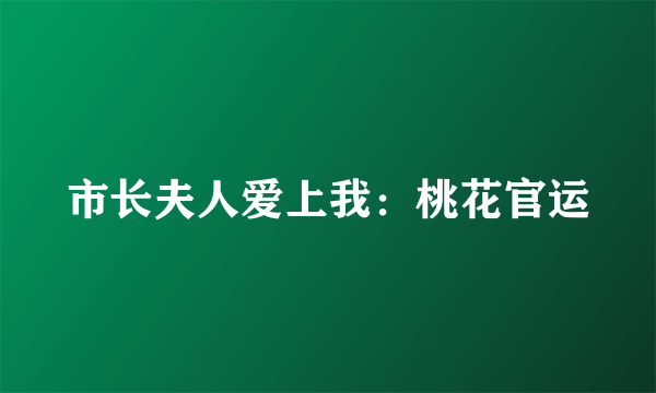 市长夫人爱上我：桃花官运