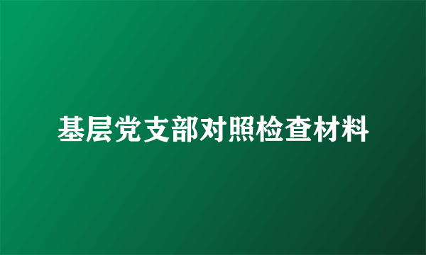 基层党支部对照检查材料