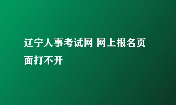 辽宁人事考试网 网上报名页面打不开