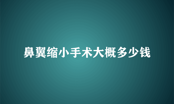 鼻翼缩小手术大概多少钱