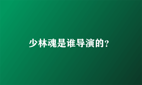 少林魂是谁导演的？