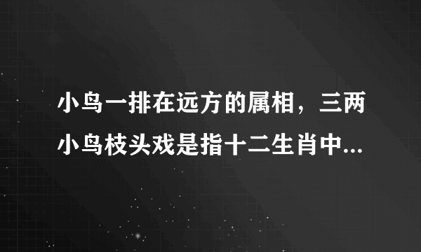 小鸟一排在远方的属相，三两小鸟枝头戏是指十二生肖中哪一个？