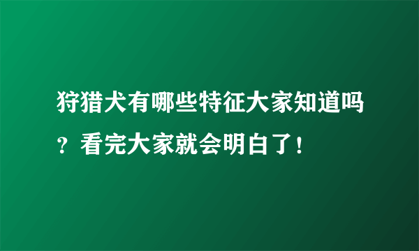 狩猎犬有哪些特征大家知道吗？看完大家就会明白了！