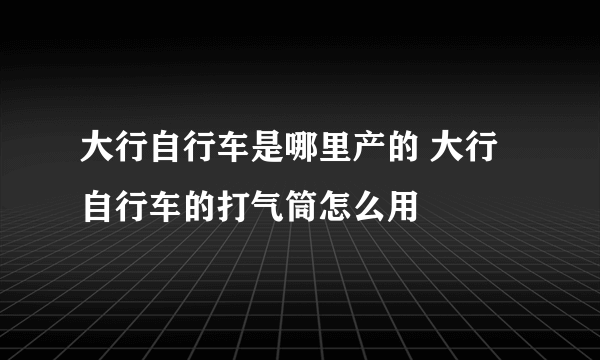 大行自行车是哪里产的 大行自行车的打气筒怎么用