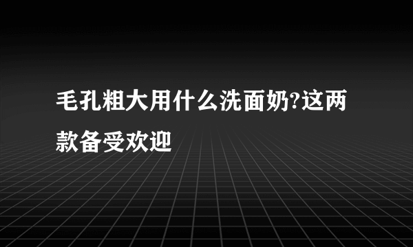 毛孔粗大用什么洗面奶?这两款备受欢迎