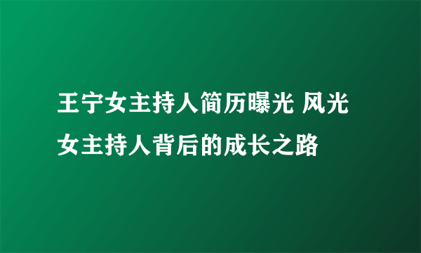 王宁女主持人简历曝光 风光女主持人背后的成长之路