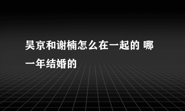 吴京和谢楠怎么在一起的 哪一年结婚的