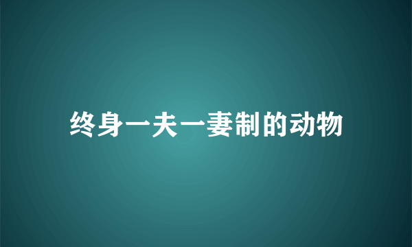 终身一夫一妻制的动物