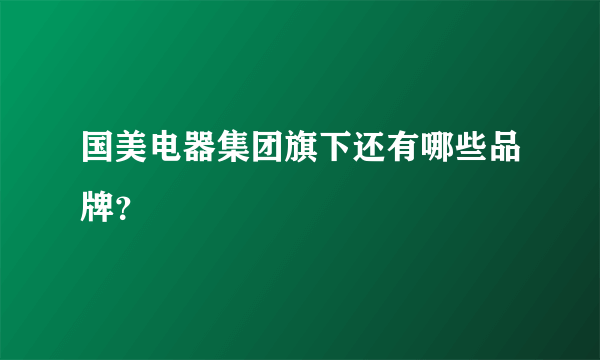 国美电器集团旗下还有哪些品牌？