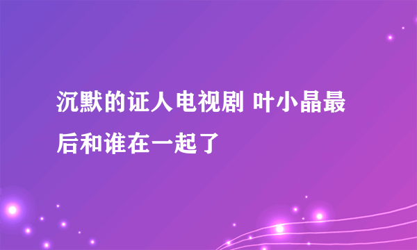 沉默的证人电视剧 叶小晶最后和谁在一起了