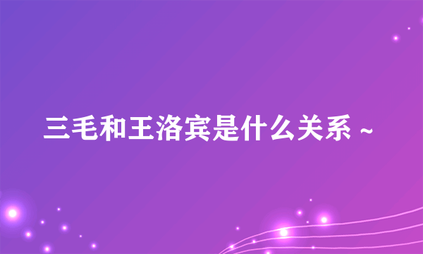 三毛和王洛宾是什么关系～