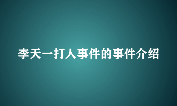 李天一打人事件的事件介绍