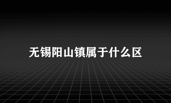 无锡阳山镇属于什么区