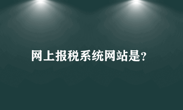 网上报税系统网站是？