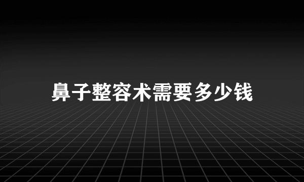 鼻子整容术需要多少钱