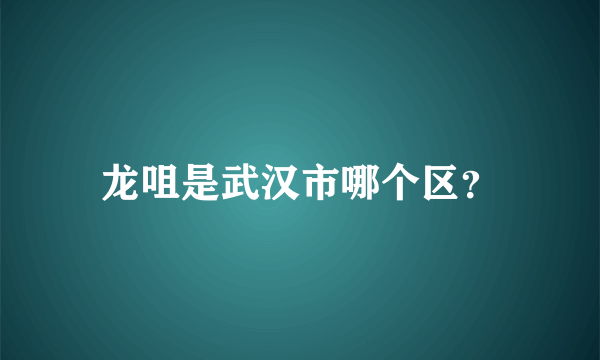 龙咀是武汉市哪个区？