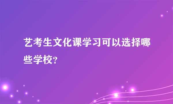 艺考生文化课学习可以选择哪些学校？