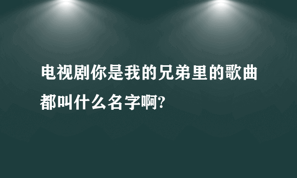 电视剧你是我的兄弟里的歌曲都叫什么名字啊?