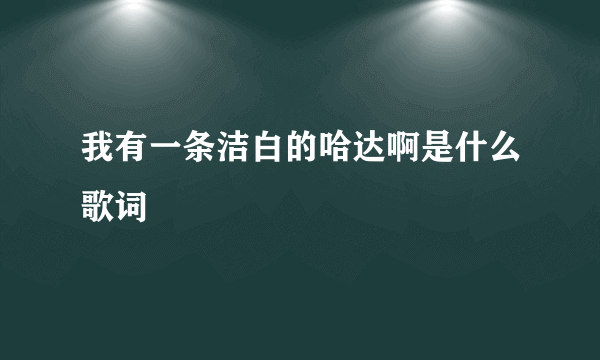 我有一条洁白的哈达啊是什么歌词