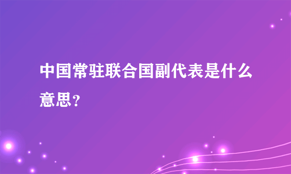 中国常驻联合国副代表是什么意思？