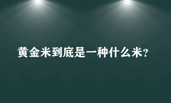 黄金米到底是一种什么米？