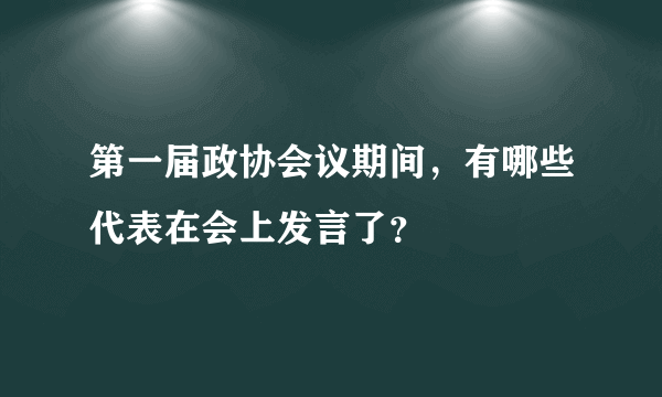 第一届政协会议期间，有哪些代表在会上发言了？