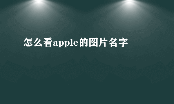 怎么看apple的图片名字