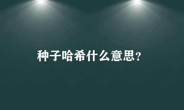 种子哈希什么意思？