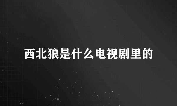 西北狼是什么电视剧里的