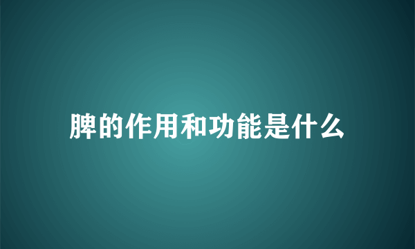 脾的作用和功能是什么